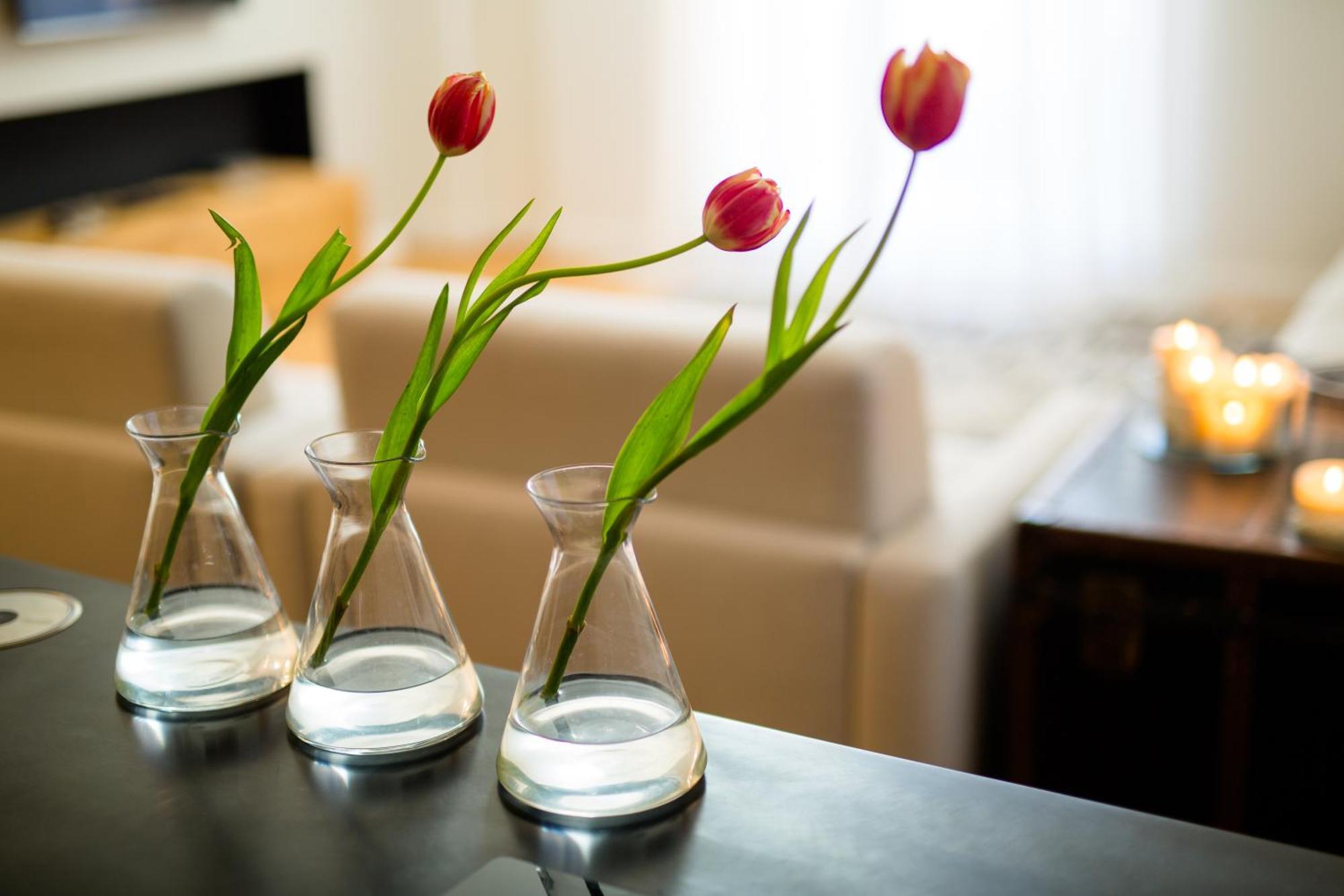 Ta - One Bedroom Luxury In The Fashion District * Florencia